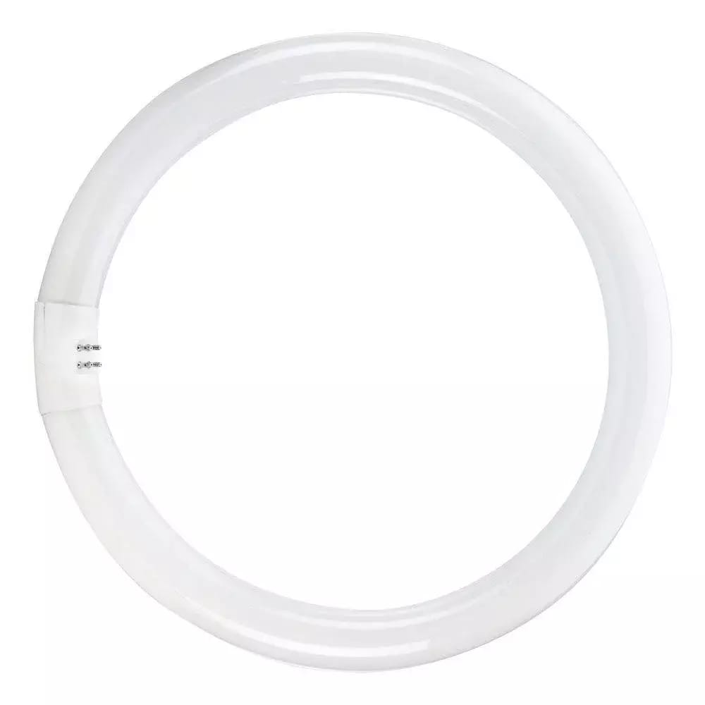 Lampe fluorescente ronde T5/22W 6500K 183mm