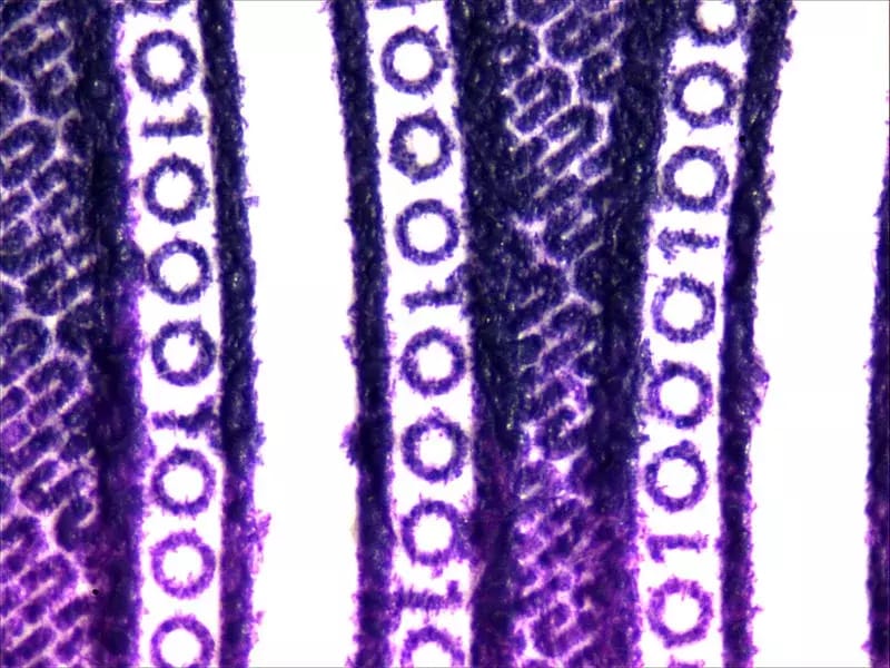 Fixations macro pour microscope électronique avec facteur 2.0× – 2